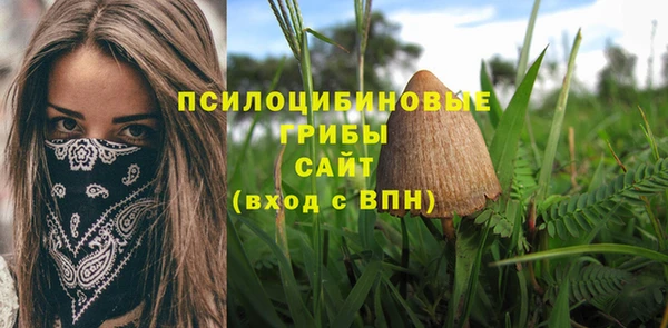 молекула духа Лихославль