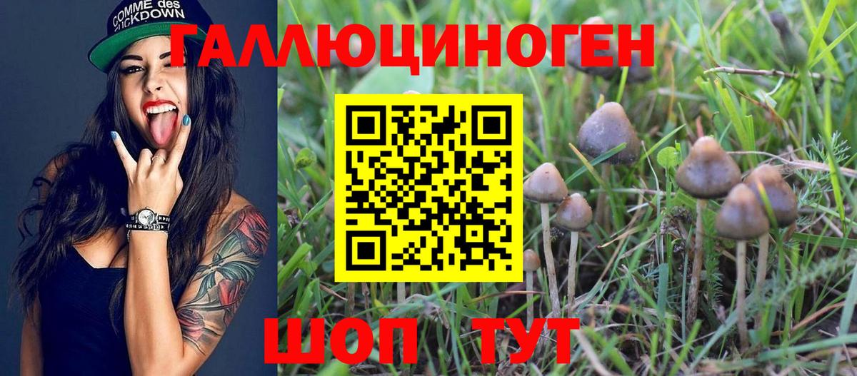 Новый Уренгой  Галлюциногенные грибы GOLDEN TEACHER  Вход с VPN 